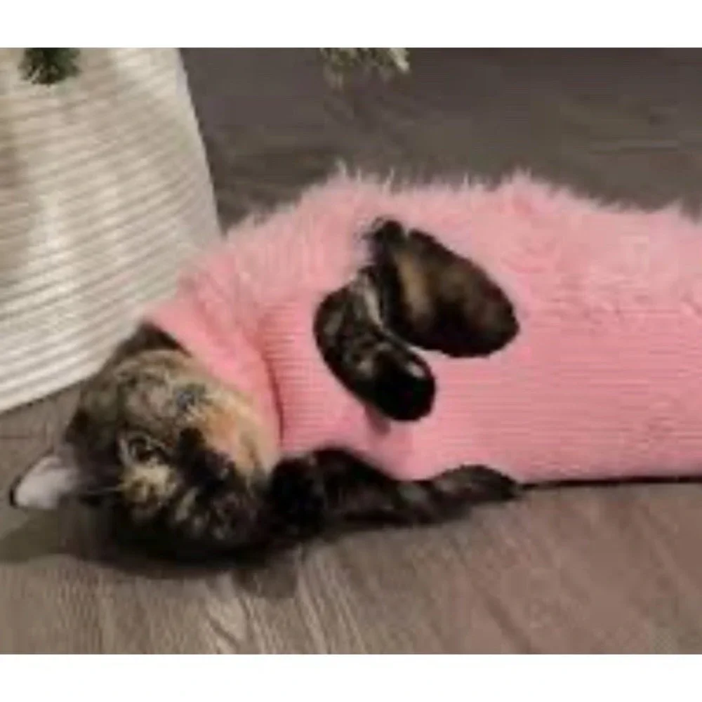 Boots & Barkley Thick Knit Pet Dog Cat Sweater Size S Pink Eyelash Holiday New